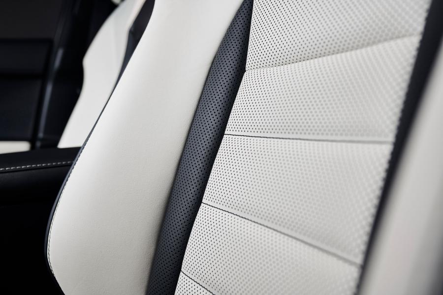 Детали интерьера Lexus NX300 F-Sport Black Line 2019 года  (NA) (фото 3 из 9)